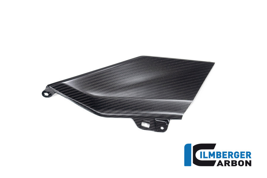 Ilmberger Carbon Lower Tank Cover Right (Upper Piece) for the BMW R 1300 GS 2023