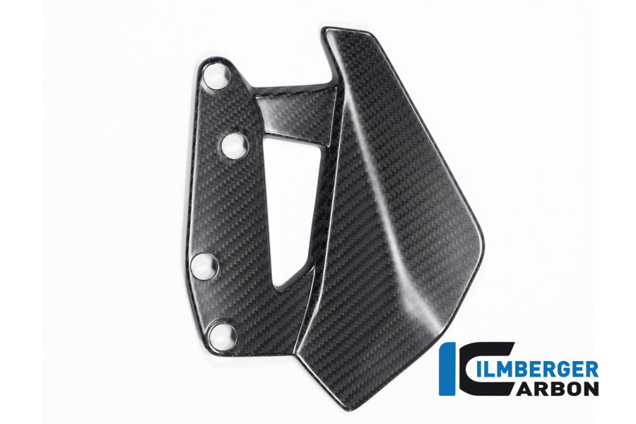 Ilmberger Carbon Windprotector, Left for the BMW R 1300 GS 2023 / GS Adventure 2024