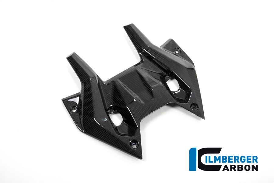 Ilmberger Carbon Holder for the Windshield, InstrumentCover for the BMW R 1200 RS 2015