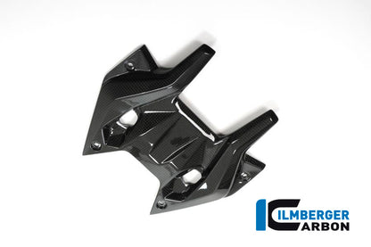 Ilmberger Carbon Holder for the Windshield, InstrumentCover for the BMW R 1200 RS 2015
