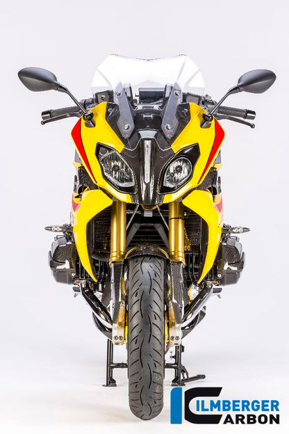 Ilmberger Carbon Holder for the Windshield, InstrumentCover for the BMW R 1200 RS 2015