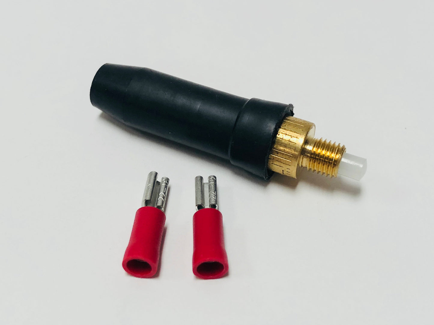 Beringer Electrical switch for Brake Master cylinders