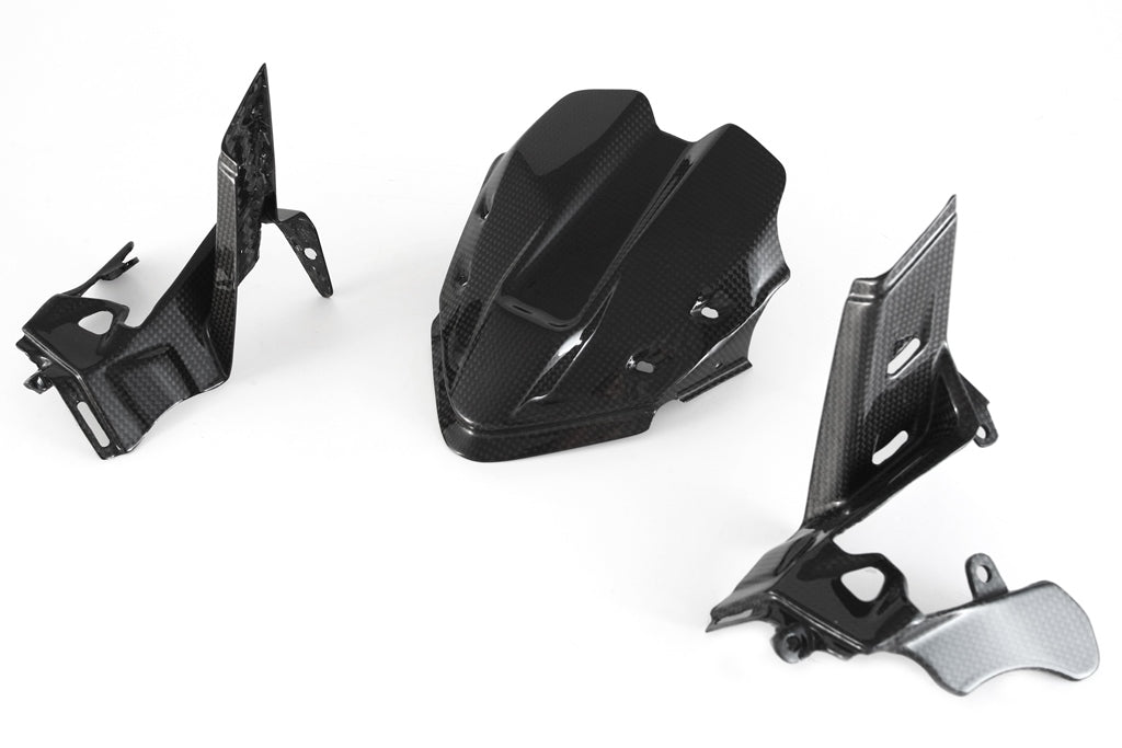 Carbonvani - Ducati Panigale V4 / S / R / Speciale Carbon Fiber Instrument Cover