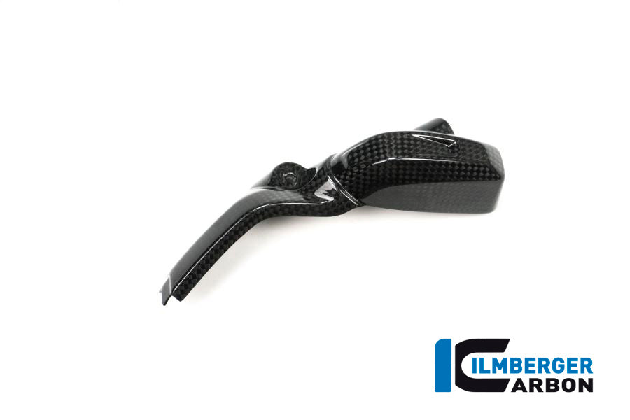 Ilmberger Carbon Injector Cover, Left Side Carbon for the BMW R 1200 GS '13-17, R 1200 GS Adventure 2014, R 1200 RS 2015