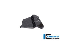 Ilmberger Carbon Electrical Cable Cover for the BMW S 1000 R '21 / S 1000 RR '19-22 / M1000R '23-24 / M1000R '21-24