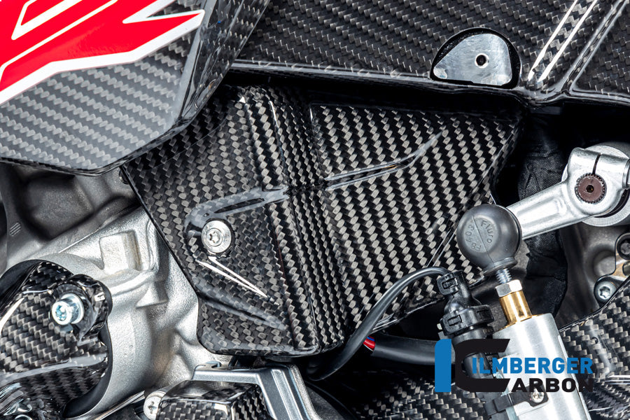 Ilmberger Carbon Electrical Cable Cover for the BMW S 1000 R '21 / S 1000 RR '19-22 / M1000R '23-24 / M1000R '21-24