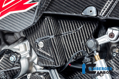 Ilmberger Carbon Electrical Cable Cover for the BMW S 1000 R '21 / S 1000 RR '19-22 / M1000R '23-24 / M1000R '21-24