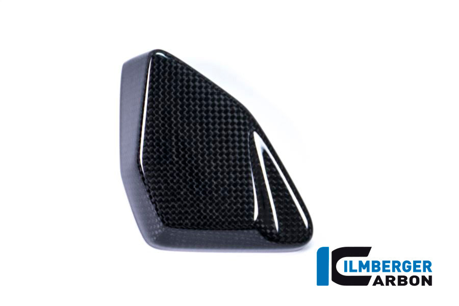 Ilmberger Carbon ESA Box Cover for the BMW R 1200 GS 2017