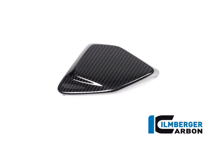 Ilmberger Carbon ESA Box Cover for the BMW R 1250 GS/GS Adventure 2019