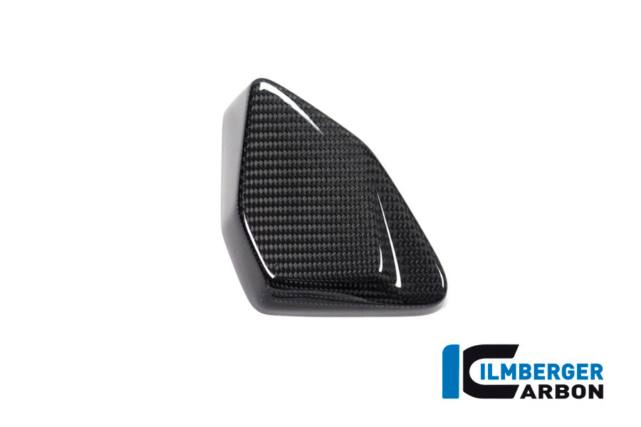 Ilmberger Carbon ESA Box Cover for the BMW R 1250 GS/GS Adventure 2019