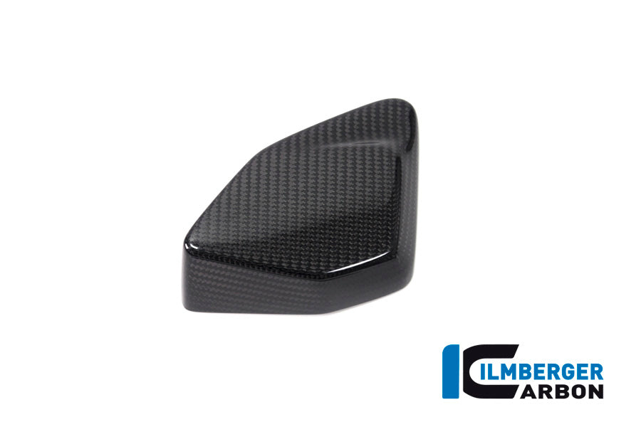 Ilmberger Carbon ESA Box Cover for the BMW R 1250 GS/GS Adventure 2019