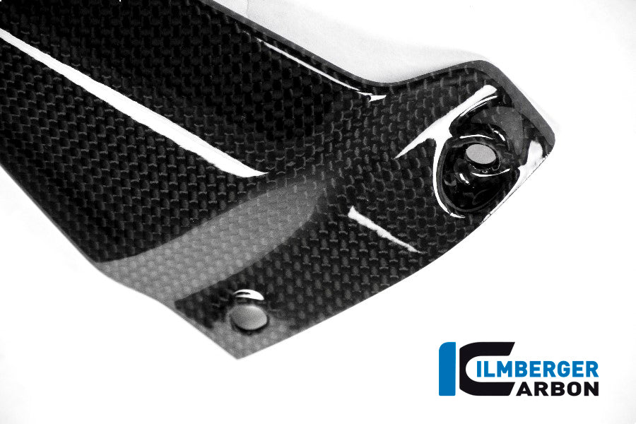 Ilmberger Carbon Heelguard, Right Side for the Ducati Monster 1200/S '14-16