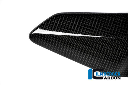 Ilmberger Carbon Heelguard, Right Side for the Ducati Monster 1200/S '14-16