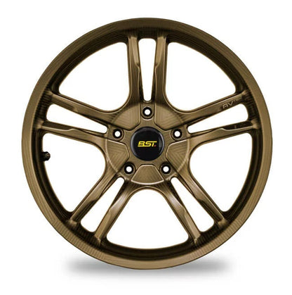 BST AV TEK 10 Spoke Carbon Fiber Rear Wheel for the BMW R NineT - 17 x 6