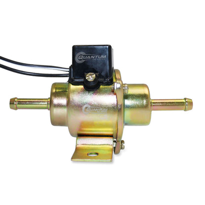 Quantum Fuel Systems QFS OEM Replacement Frame-Mounted Electric Fuel Pump for the Honda Goldwing '86, VFR750 Interceptor '86-89 & etc.