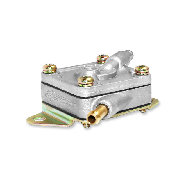 Quantum Fuel Systems OEM Replacement In-Tank EFI Fuel Pump w/ Strainer for the Aprilia Atlantic 400 Sprint '05-08, Scarabeo 500 '03-06