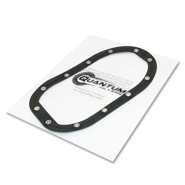 Quantum Fuel Systems OEM Replacement In-Tank EFI Fuel Pump w/ Tank Seal, Strainer for the Harley Davidson FXD Dyna '2008, Low Rider '04-17 & etc.