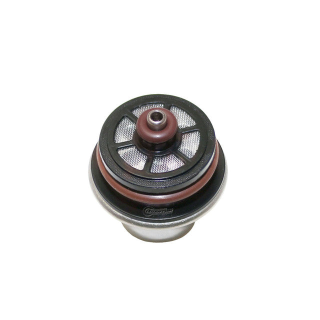 Quantum Fuel Systems OEM Replacement In-Tank EFI Fuel Pump w/ Fuel Pressure Regulator, Strainer for the Harley Davidson sportster 1200 '07-19, Sportster Seventy-Two '12-16 & etc.