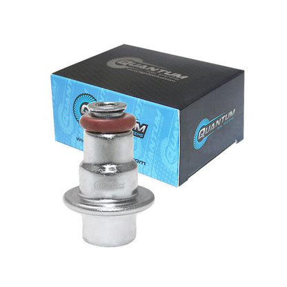 Quantum Fuel Systems OEM Replacement In-Tank EFI Fuel Pump w/ Fuel Pressure Regulator, Tank Seal, Strainer for the Honda Africa Twin 1000 16-20