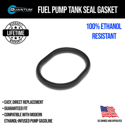 Quantum Fuel Systems OEM Replacement In-Tank EFI Fuel Pump with Fuel Pressure Regulator, Tank Seal, Strainer for the Husaberg FE250/FE350 '13 & etc.
