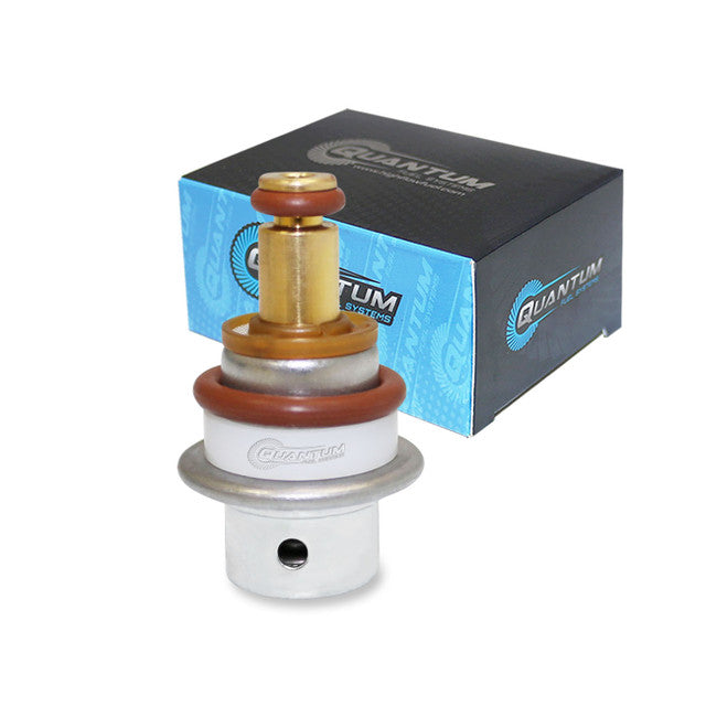 Quantum Fuel Systems OEM Replacement In-Tank EFI Fuel Pump w/ Fuel Pressure Regulator, Tank Seal, Strainer for the KTM 200 Duke '15-16