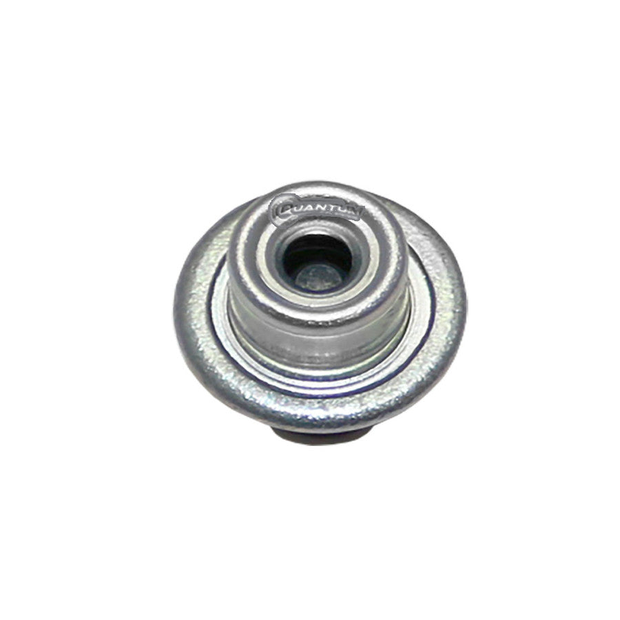 Quantum Fuel Systems OEM Replacement EFI Fuel Pressure Regulator for the BMW C600 Sport / C650 GT '11-23 & etc.