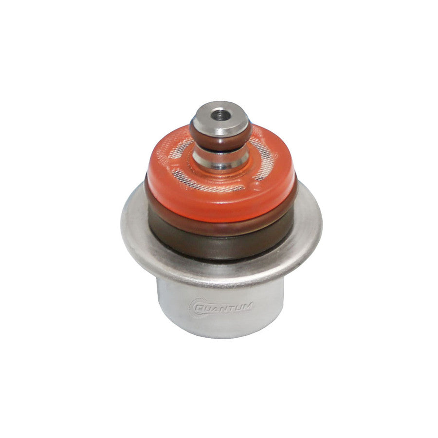 Quantum Fuel Systems OEM Replacement EFI Fuel Pressure Regulator for the Harley Davidson Road King / Classic '03-06 & etc.