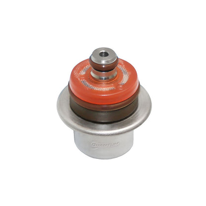 Quantum Fuel Systems OEM Replacement EFI Fuel Pressure Regulator for the Harley Davidson Road King / Classic '03-06 & etc.