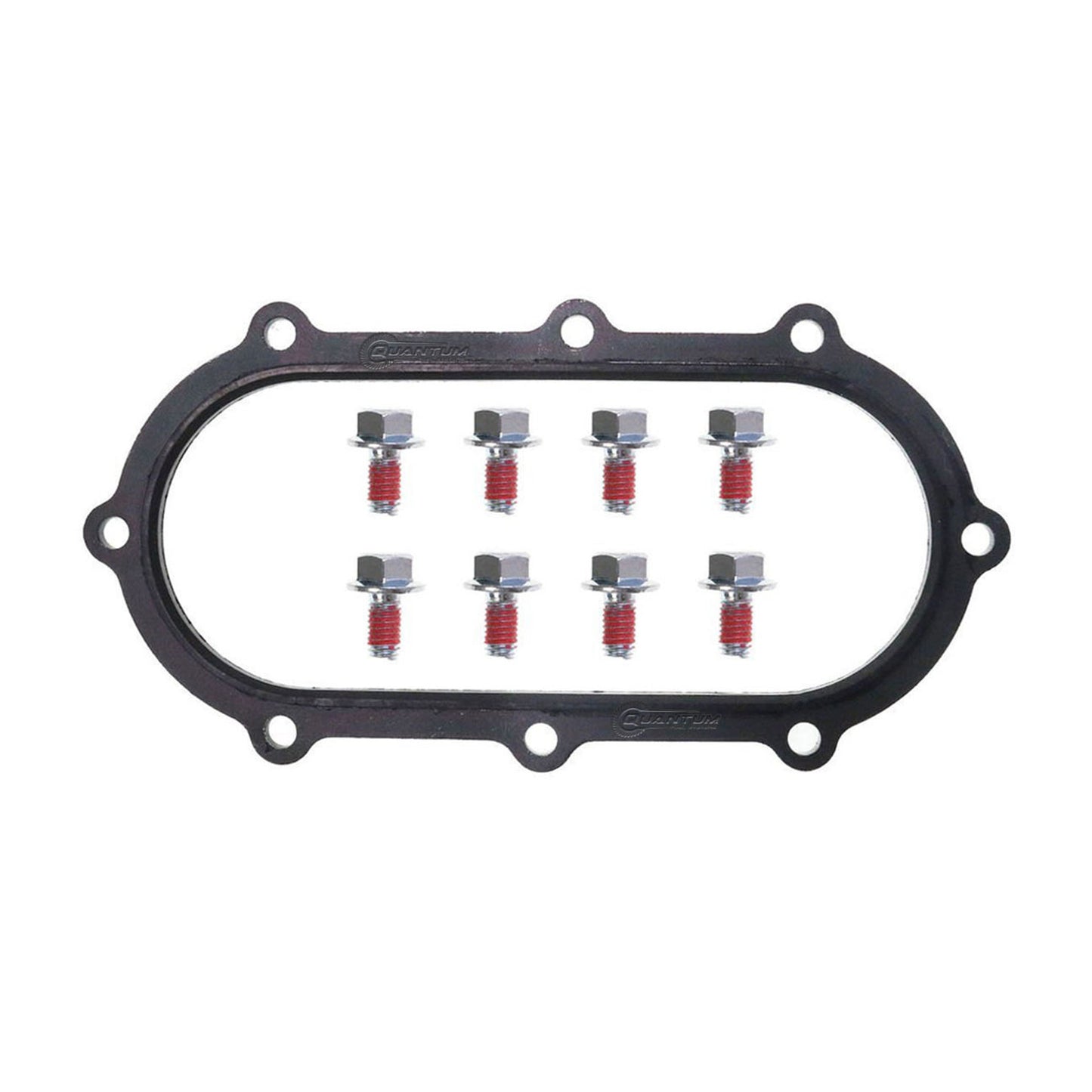 Quantum Fuel Systems Fuel Pump Tank Seal / Gasket + Bolts for the Yamaha YZF-R7 1999
