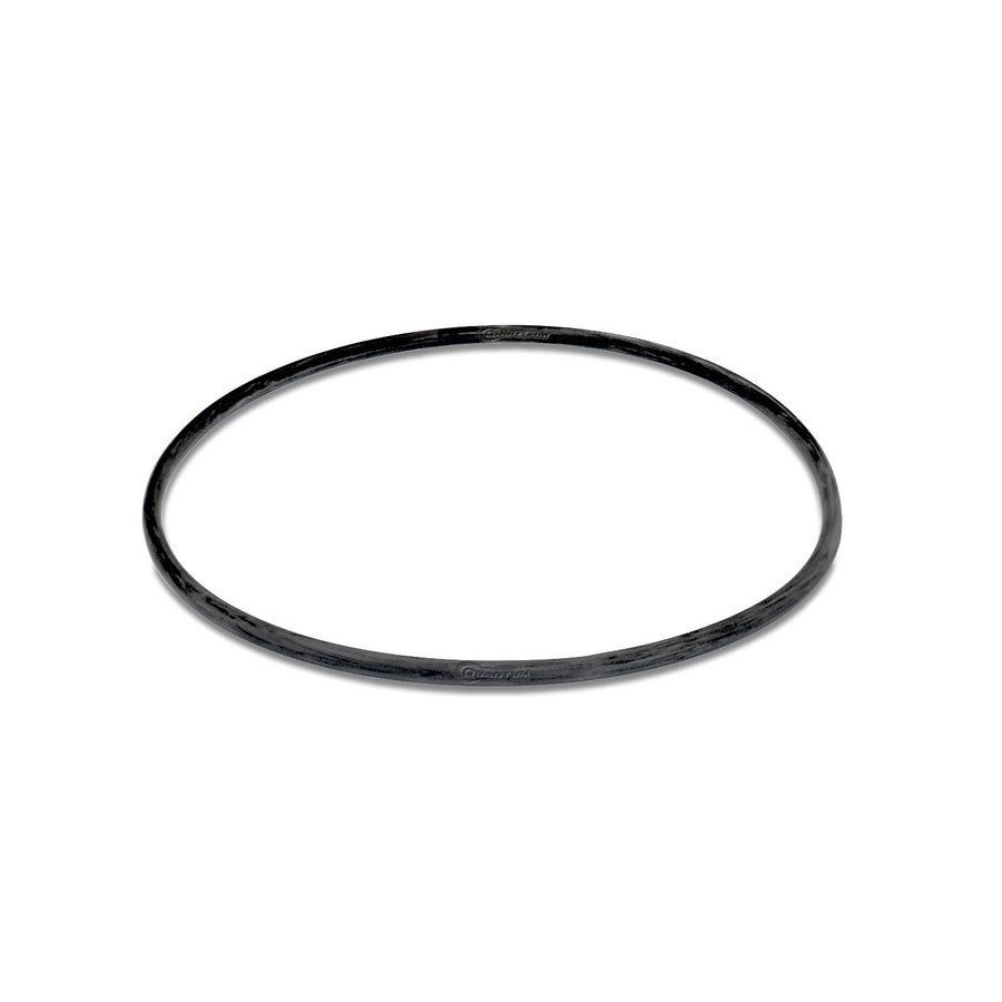 Quantum Fuel Systems Fuel Pump Tank Seal / Gasket for the Ducati 748 '00-03, 748R '00-02 & etc.