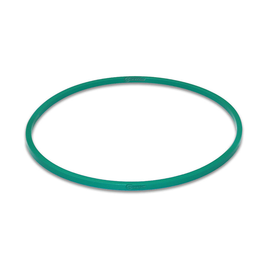 Quantum Fuel Systems Fuel Pump Tank Seal / Gasket for the Honda Goldwing 2001-2017