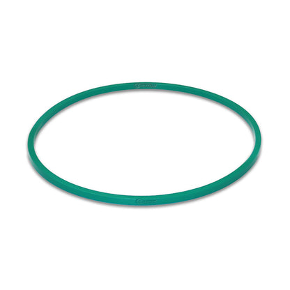 Quantum Fuel Systems Fuel Pump Tank Seal / Gasket for the Honda Goldwing 2001-2017