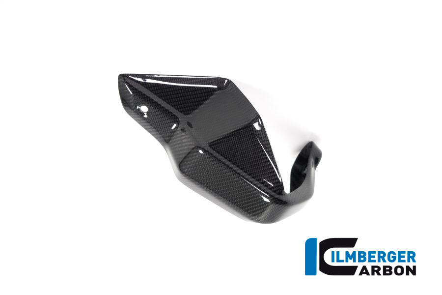 Ilmberger Carbon Hand Protector, Left Side for the BMW R 1250 GS/ GS Adventure 2019