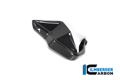 Ilmberger Carbon Hand Protector, Left Side for the BMW R 1250 GS/ GS Adventure 2019