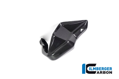 Ilmberger Carbon Hand Protector, Right Side for the BMW R 1250 GS/ GS Adventure 2019
