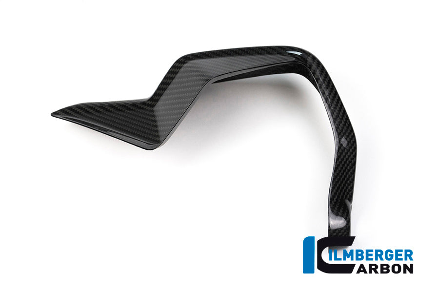Ilmberger Carbon Hand Protector, Right Side for the BMW S 1000 XR 2015-2024