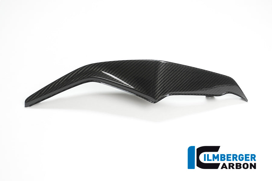 Ilmberger Carbon Seat Unit, Right Side for the BMW S 1000 XR 2015-2019