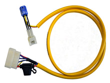 WOODCRAFT Triumph 675 (06-08) Keyswitch Elimination Harness Assembly
