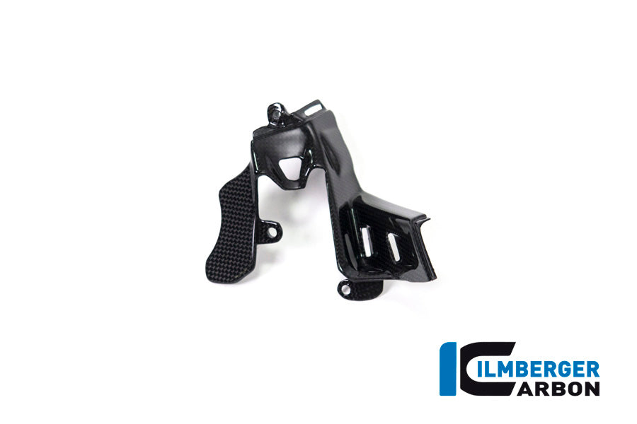Ilmberger Carbon Instrument Cover for the Ducati Panigale V4,V4 S '18-22 / V4 R '19-22