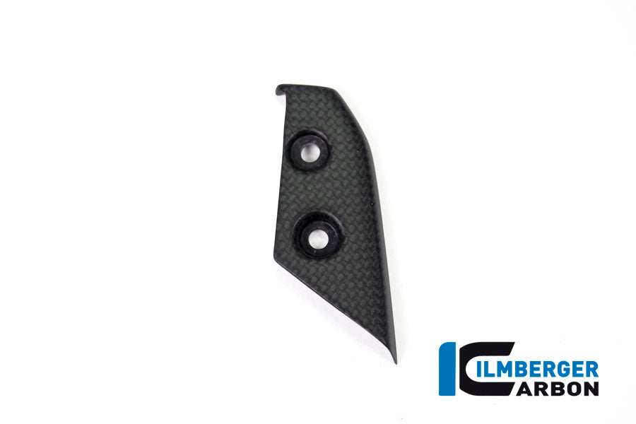 Ilmberger Carbon Instrument Cover for the Ducati Panigale V4,V4 S '18-22 / V4 R '19-22