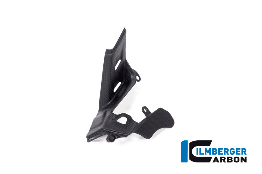 Ilmberger Carbon Instrument Cover for the Ducati Panigale V4,V4 S '18-22 / V4 R '19-22