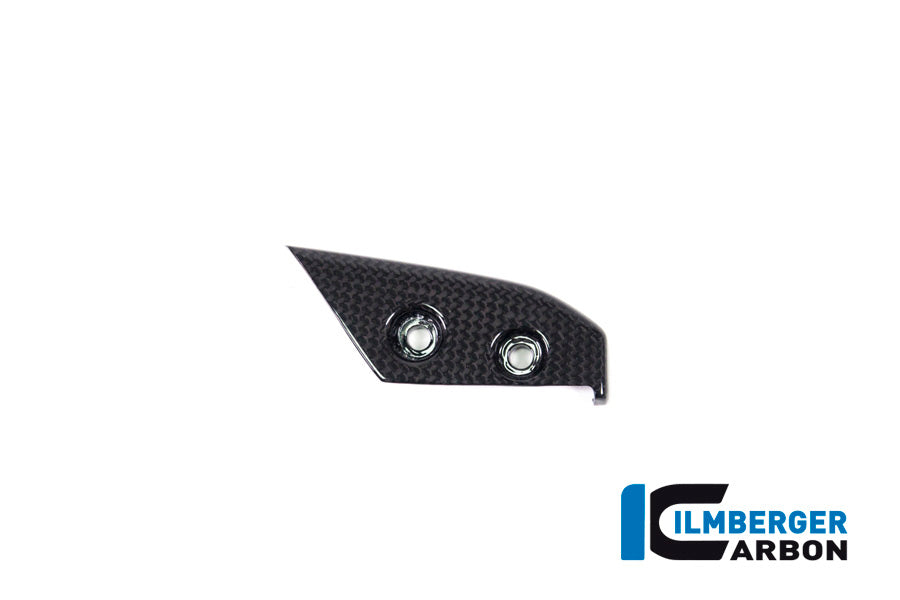 Ilmberger Carbon Instrument Cover for the Ducati Panigale V4,V4 S '18-22 / V4 R '19-22