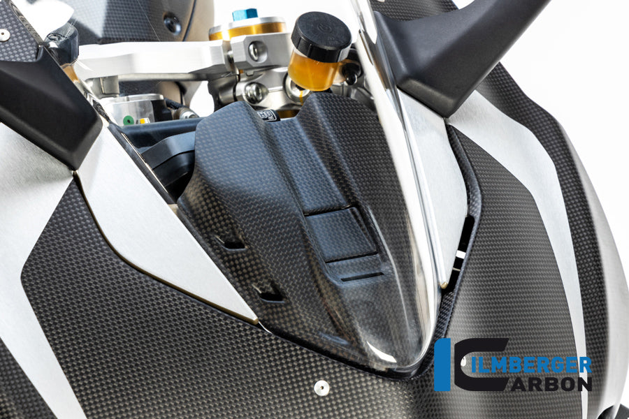 Ilmberger Carbon Instrument Cover for the Ducati Panigale V4,V4 S '18-22 / V4 R '19-22