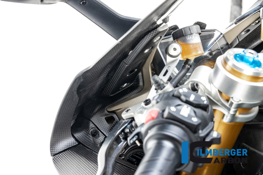 Ilmberger Carbon Instrument Cover for the Ducati Panigale V4,V4 S '18-22 / V4 R '19-22