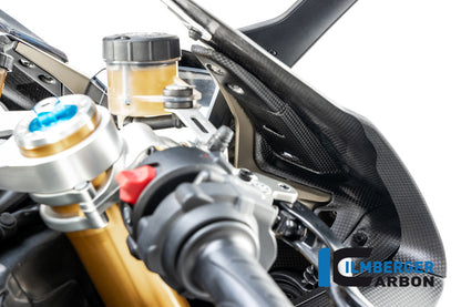 Ilmberger Carbon Instrument Cover for the Ducati Panigale V4,V4 S '18-22 / V4 R '19-22