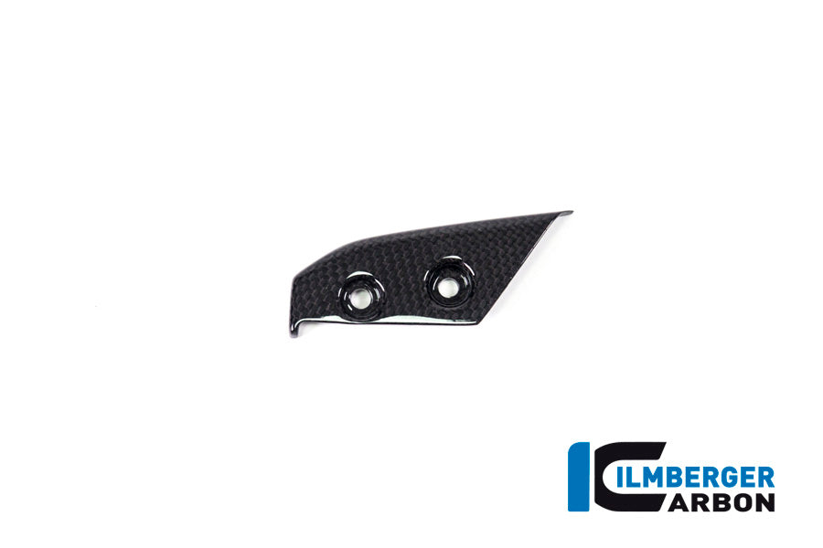 Ilmberger Carbon Instrument Cover for the Ducati Panigale V4,V4 S '18-22 / V4 R '19-22