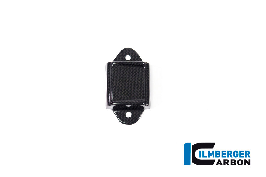 Ilmberger Carbon Instrument Cover for the Ducati Panigale V4,V4 S '18-22 / V4 R '19-22