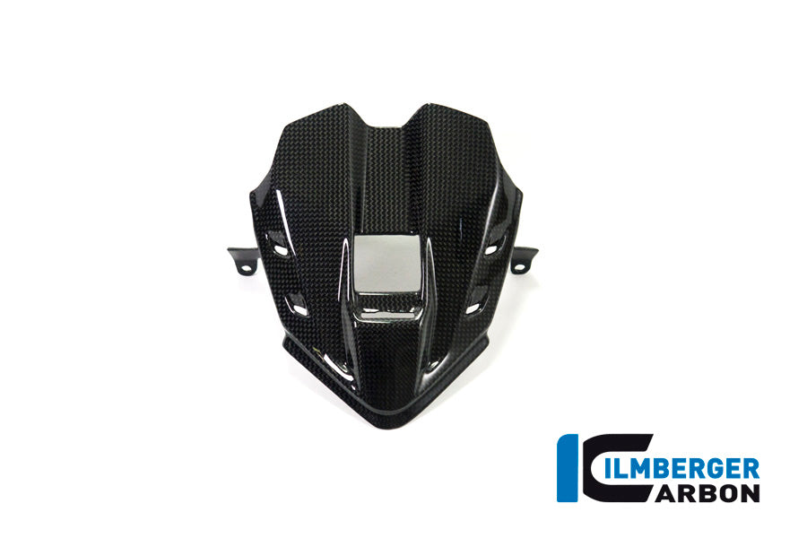 Ilmberger Carbon Instrument Cover for the Ducati Panigale V4,V4 S '18-22 / V4 R '19-22