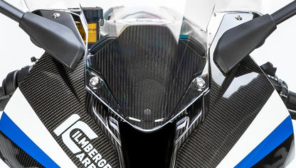 Ilmberger Carbon Instrument Cover for the BMW S 1000 RR '19-23