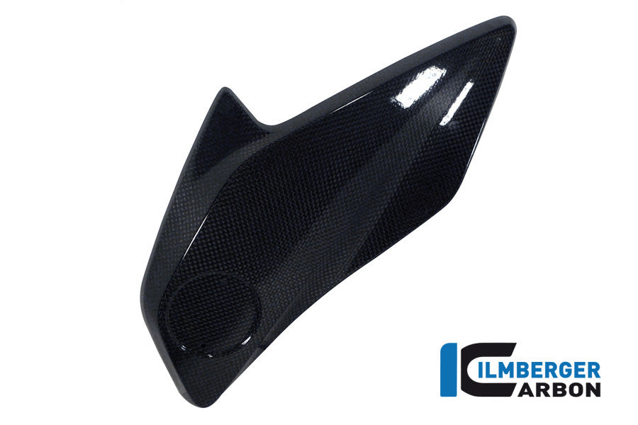 Ilmberger Carbon Radiator Cover, Right Carbon for the BMW R 1200 GS 2013-16